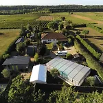 Les Pilotis Du Cognac * Bourg-Charente
