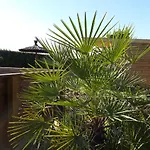 Les Pilotis Du Cognac * Bourg-Charente