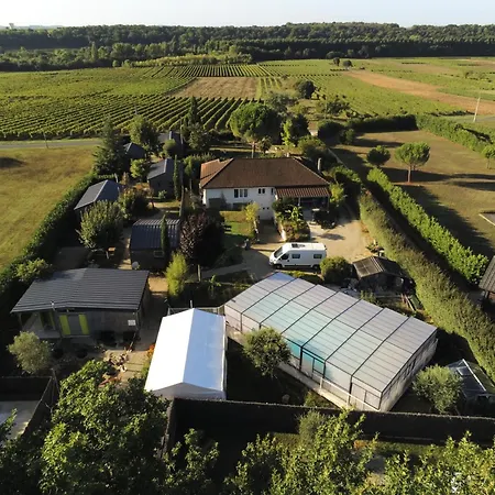 Les Pilotis Du Cognac * Bourg-Charente