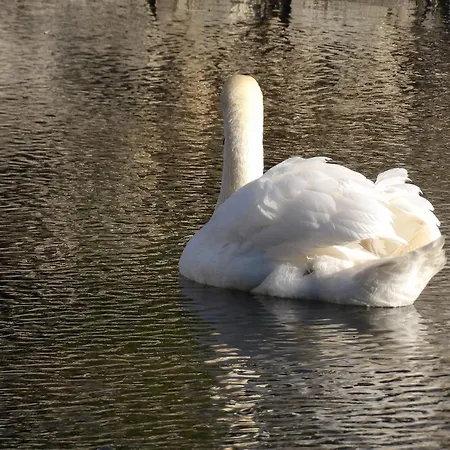 Alpehytte Les Pilotis Du Cognac