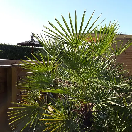 Les Pilotis Du Cognac * Bourg-Charente