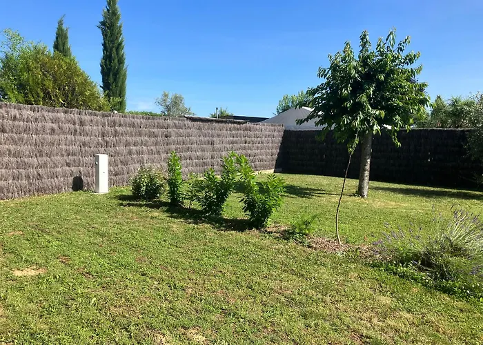 Les Pilotis Du Cognac * Bourg-Charente