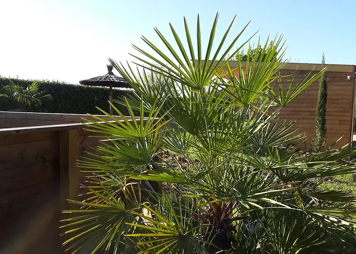 Les Pilotis Du Cognac * Bourg-Charente